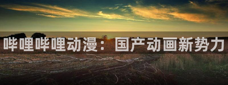 age动漫官网入口老版本：哔哩哔哩动漫：国产动画新势力