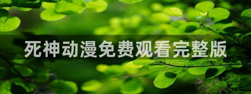 age专注动漫的门户网站：死神动漫免费观看完整版