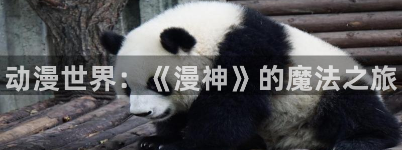 age动漫正版网：动漫世界：《漫神》的魔法之旅