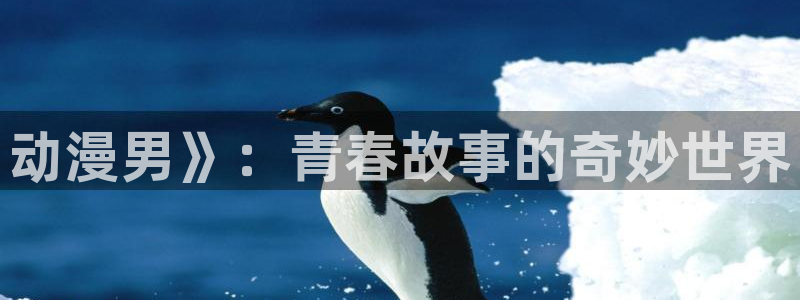 age动漫正版网：动漫男》：青春故事的奇妙世界