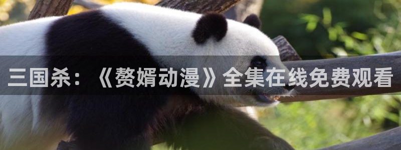 managereader漫画官网入口：三国杀：《赘婿动漫》全集在线免费观看