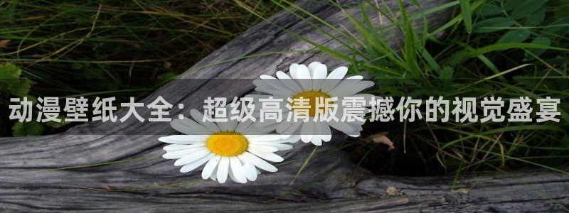 age动漫下载入口：动漫壁纸大全：超级高清版震撼你的视觉盛宴