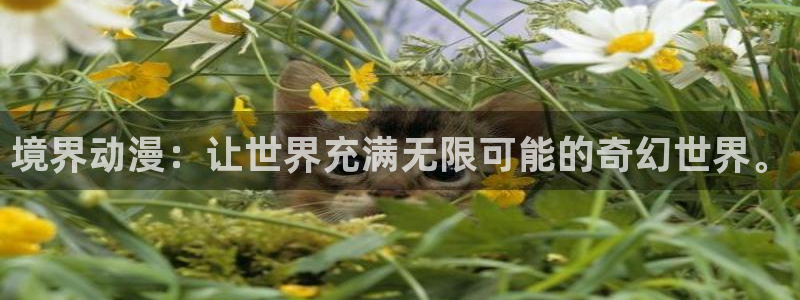 age动漫官网网址：境界动漫：让世界充满无限可能的奇幻世界。