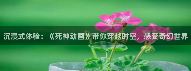 age动漫樱花：沉浸式体验：《死神动画》带你穿越时空，感受奇幻世界
