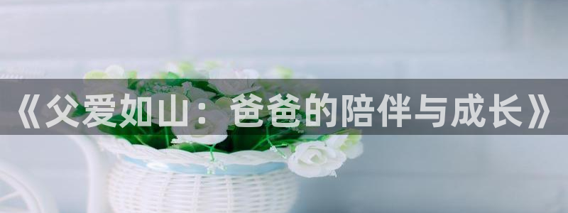 colamanage漫画下载：《父爱如山：爸爸的陪伴与成长》
