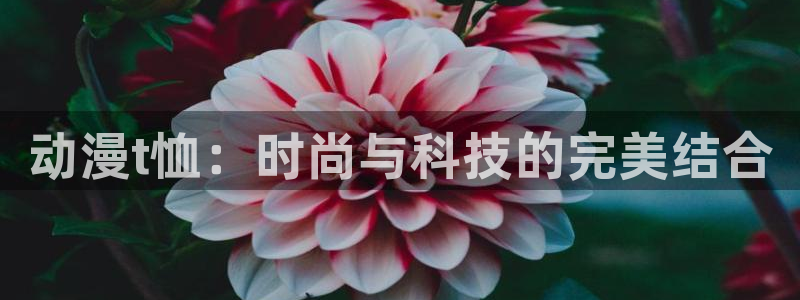 age专注动漫的门户网站：动漫t恤：时尚与科技的完美结合