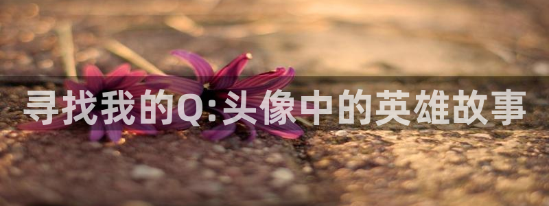 age动漫下载入口：寻找我的Q:头像中的英雄故事