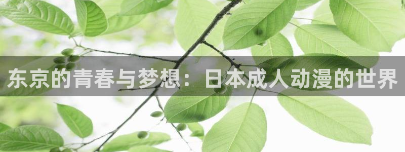 下载age动漫：东京的青春与梦想：日本成人动漫的世界