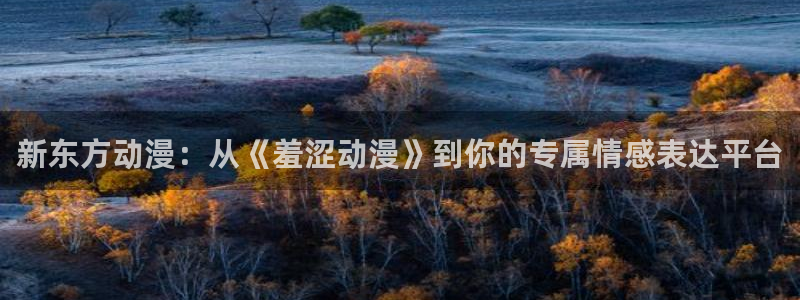 age动漫：新东方动漫：从《羞涩动漫》到你的专属情感表达平台
