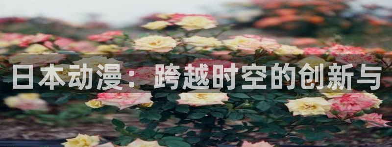 age动漫官网在线入口