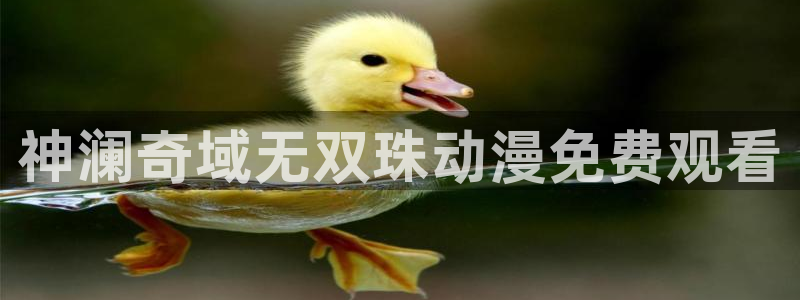 age动漫下载入口