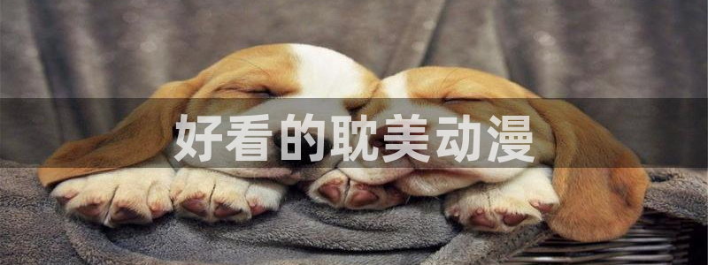 managereader漫画官网入口