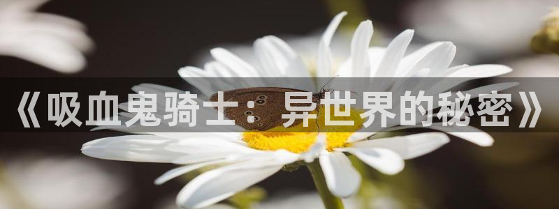age动漫