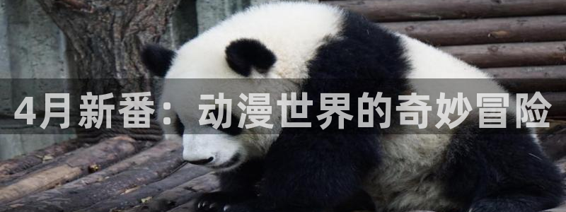 kakaopage韩漫官网